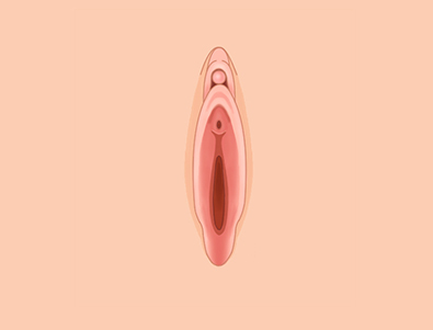 이상적인 소음순